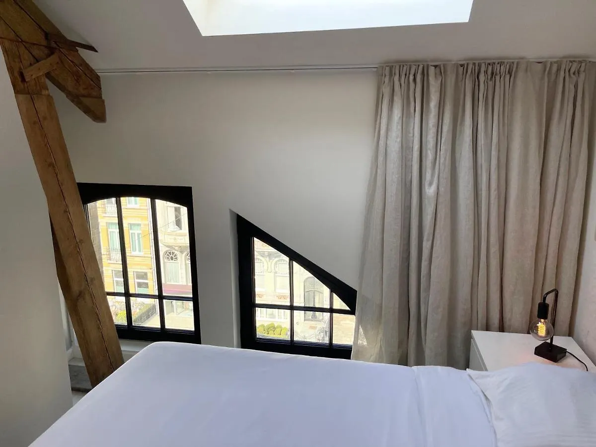 Casa Clementina - Luxury Penthouse With Airconditioning And Private Terrace Gent Appartement