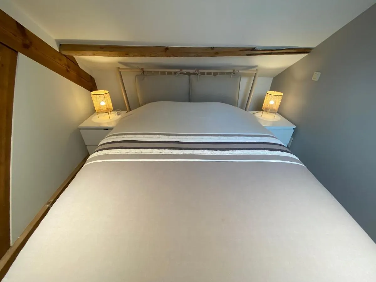 Apartment Casa Clementina - Luxury Penthouse With Airconditioning And Private Terrace Ghent