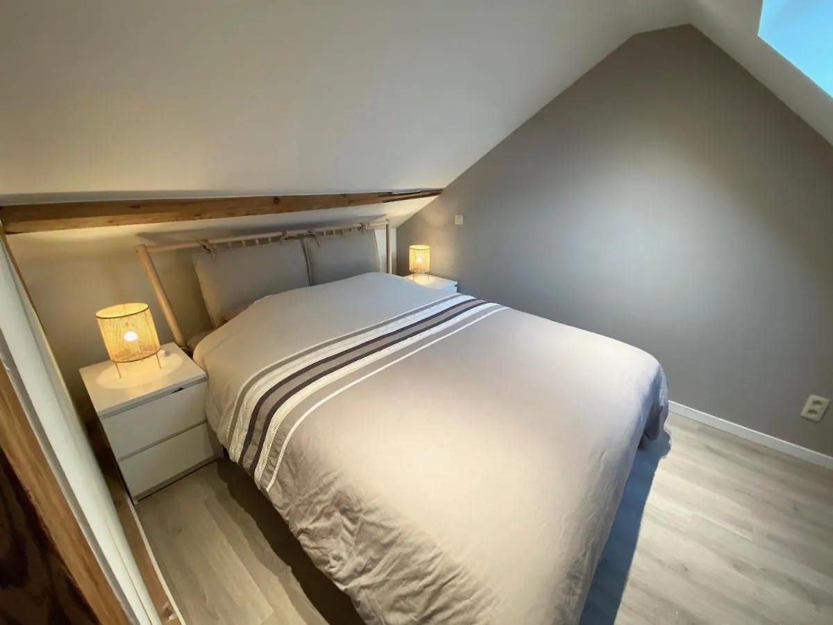Casa Clementina - Luxury Penthouse With Airconditioning And Private Terrace Ghent 0*,