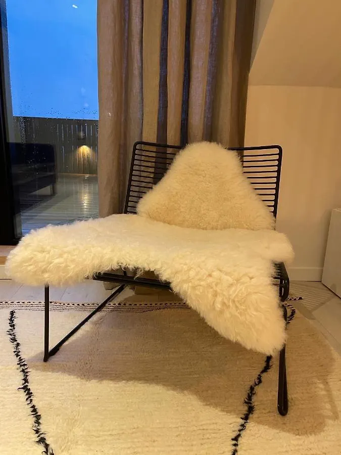 Apartment Casa Clementina - Luxury Penthouse With Airconditioning And Private Terrace Ghent
