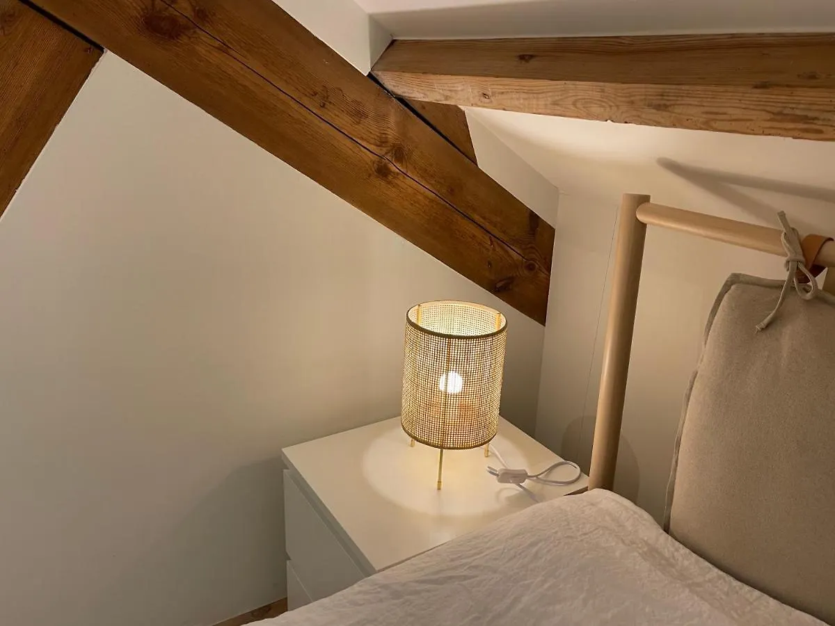 Casa Clementina - Luxury Penthouse With Airconditioning And Private Terrace Ghent Apartment