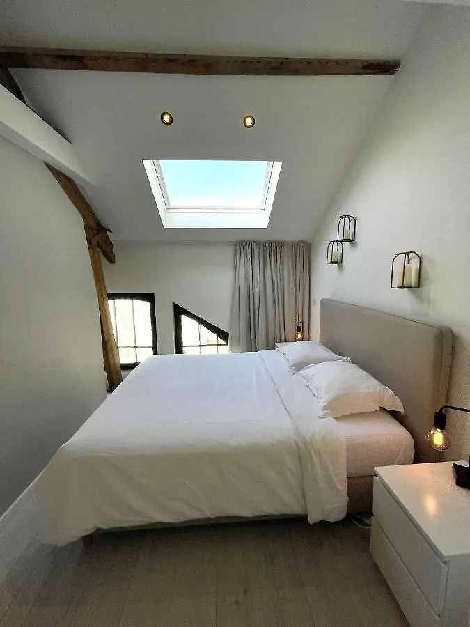 Casa Clementina - Luxury Penthouse With Airconditioning And Private Terrace Ghent Apartment
