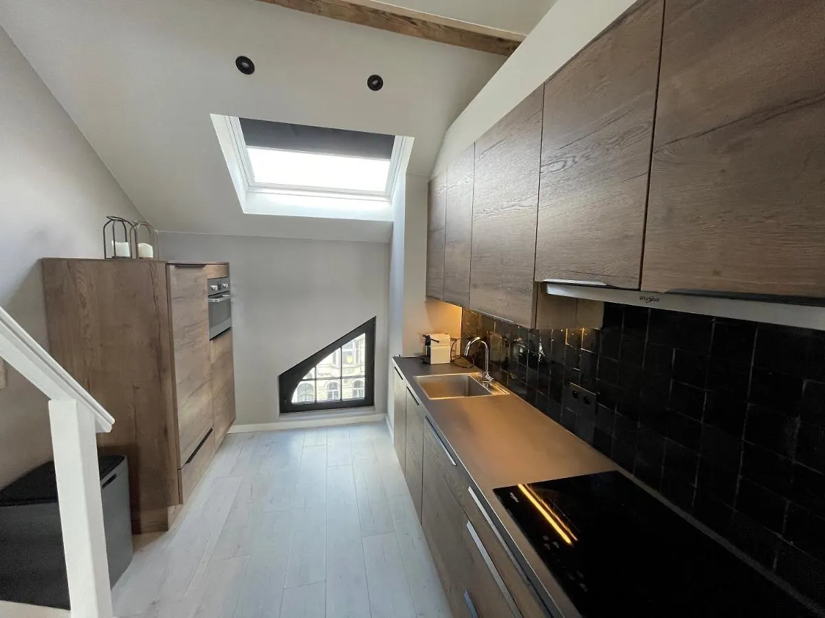 Apartment Casa Clementina - Luxury Penthouse With Airconditioning And Private Terrace Ghent Belgium