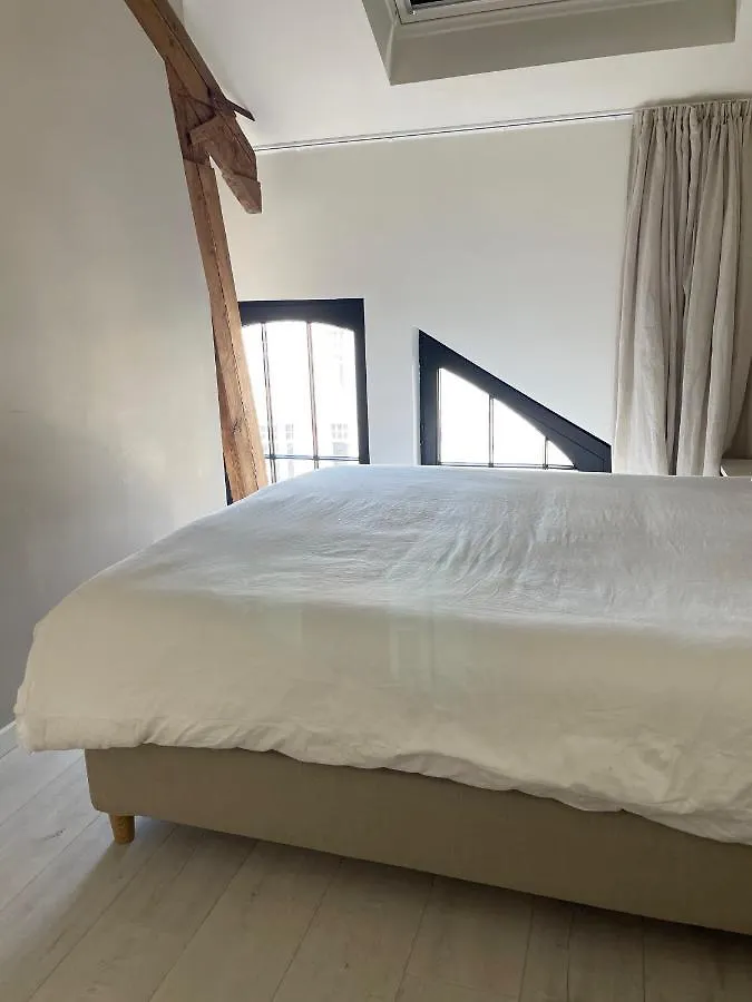 Casa Clementina - Luxury Penthouse With Airconditioning And Private Terrace Ghent