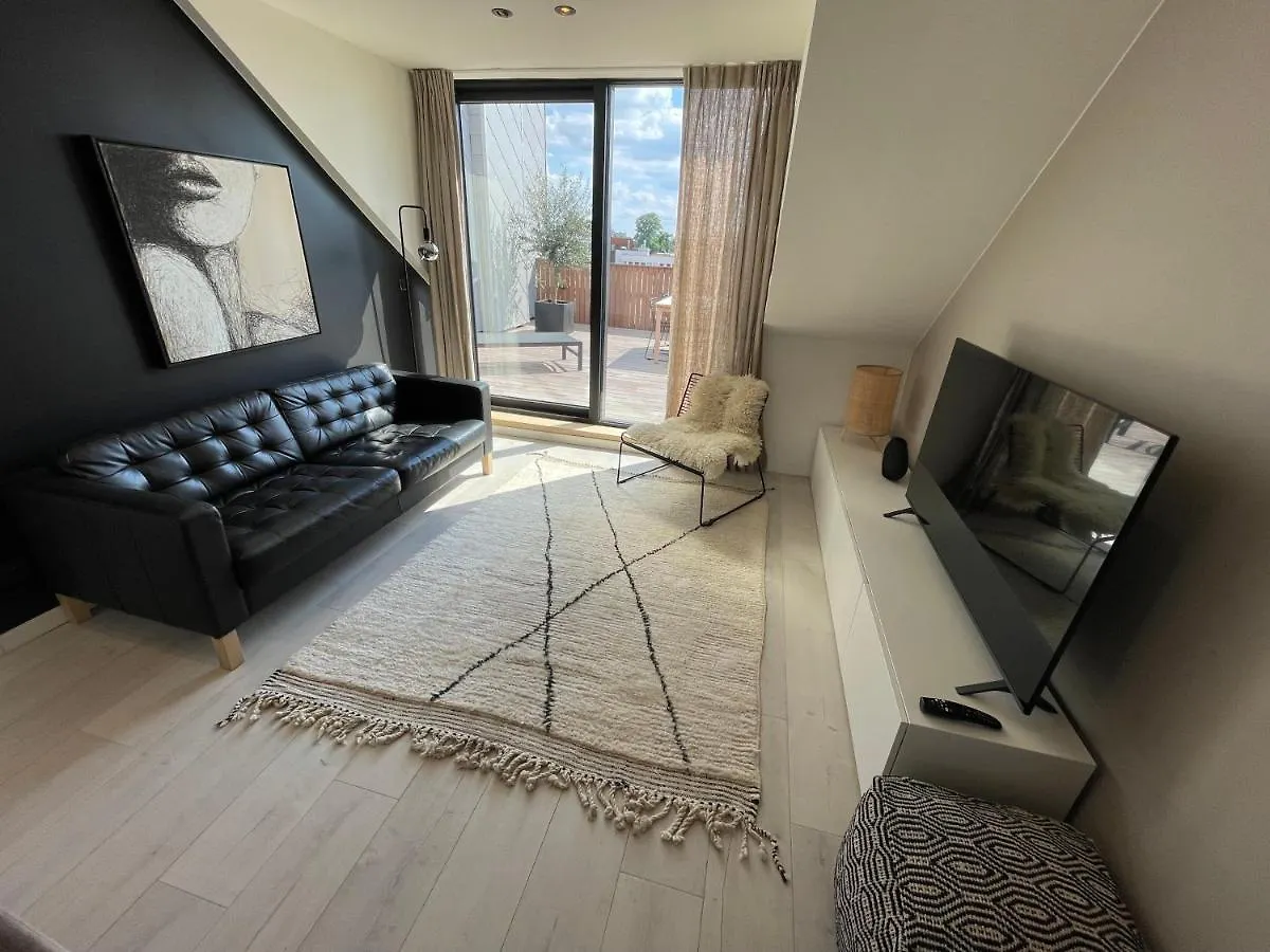Casa Clementina - Luxury Penthouse With Airconditioning And Private Terrace Ghent